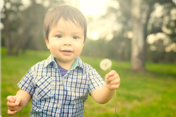child holding dandelion